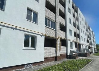 1-комнатная квартира на продажу, 28.3 м2, Балашов, улица Титова, 11/1