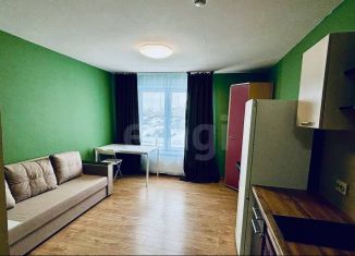 Продаю квартиру студию, 23.8 м2, Тюмень, Ставропольская улица, 160, ЖК Тесла Парк
