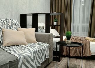 Сдается квартира студия, 31 м2, Республика Башкортостан, улица Энтузиастов, 7