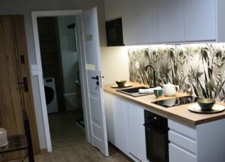 Квартира на продажу студия, 25.2 м2, Санкт-Петербург, улица Шкапина, 15, метро Фрунзенская
