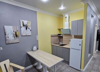 Сдаю квартиру студию, 27 м2, Краснодар, улица Григория Пономаренко, 45, микрорайон Завод Радиоизмерительных Приборов