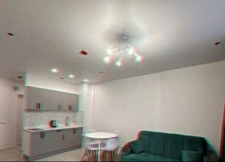 Сдам квартиру студию, 30 м2, Тюмень, улица Мельникайте, 2к10, ЖК Горизонт