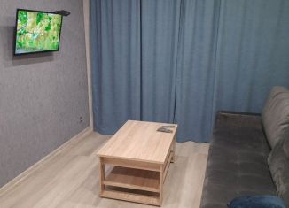 Однокомнатная квартира в аренду, 31 м2, Мурманск, улица Полярные Зори, 33к2