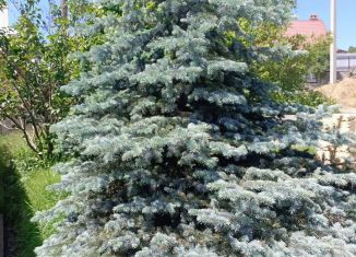 Продажа земельного участка, 10 сот., Горячий Ключ, улица Бабушкина