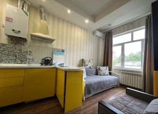 Продажа квартиры студии, 19.1 м2, Сочи, переулок Чехова, 8, микрорайон Донская