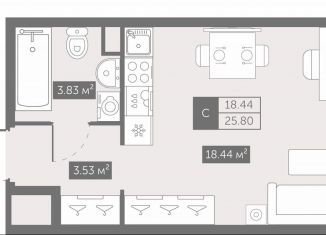 Продам квартиру студию, 25.8 м2, Санкт-Петербург, метро Елизаровская
