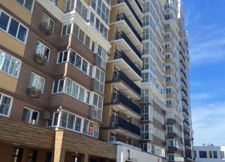 Сдается двухкомнатная квартира, 53 м2, Краснодар, Колхозная улица, 5/1, микрорайон Табачная Фабрика