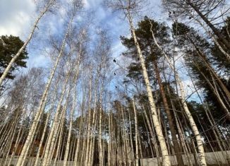 Продам участок, 10 сот., деревня Новолисиха