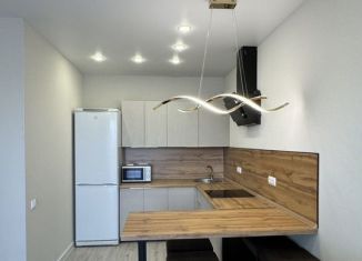 Двухкомнатная квартира в аренду, 45 м2, Сыктывкар, Петрозаводская улица, 43, район Орбита