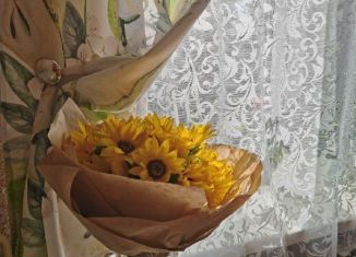 Сдается 2-комнатная квартира, 44 м2, Воронеж, улица Карла Маркса, 78