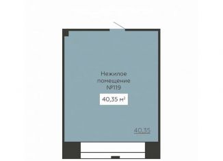 Продается помещение свободного назначения, 40.35 м2, Воронеж, улица 20-летия Октября, 59, Ленинский район