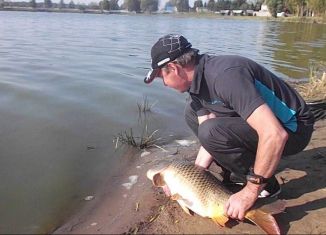 Продается дом, 37.6 м2, деревня Владимировка, деревня Владимировка, 18