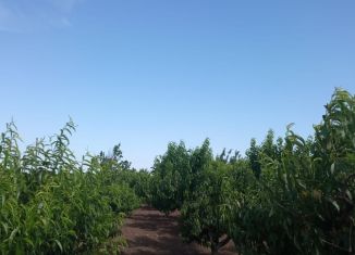 Продаю дом, 115.7 м2, село Лобаново, улица Гагарина