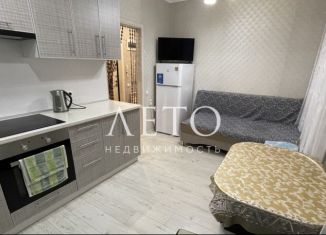 2-комнатная квартира на продажу, 40 м2, посёлок городского типа Сириус, улица Станиславского, 1А