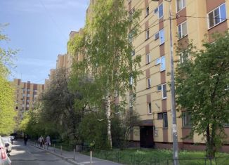 Сдается 1-ком. квартира, 34 м2, Санкт-Петербург, улица Тельмана, 43к1, улица Тельмана