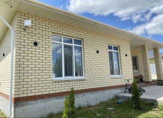 Продам коттедж, 163 м2, деревня Чернышевка