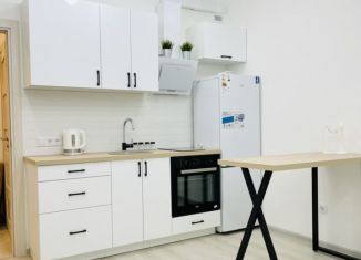 Сдам квартиру студию, 30 м2, Санкт-Петербург, улица Бабушкина, 55к2