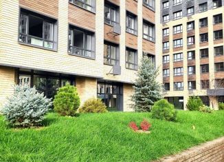 Продажа 3-ком. квартиры, 55 м2, Казань, улица Братьев Батталовых, 20А, ЖК Палитра