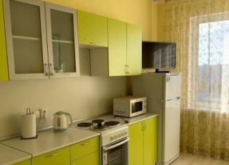 Сдаю в аренду однокомнатную квартиру, 47.6 м2, Кингисепп, Крикковское шоссе, 16