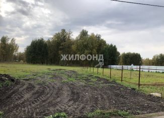 Продаю участок, 9 сот., село Толмачёво, Лесная улица, 1