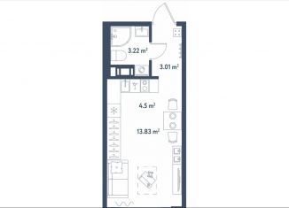 Продаю квартиру студию, 24.6 м2, Санкт-Петербург, муниципальный округ Московская Застава