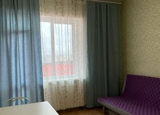 Сдам в аренду квартиру студию, 25 м2, Мурино, улица Шоссе в Лаврики