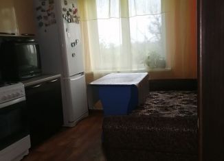 Продается 1-ком. квартира, 32.3 м2, деревня Калашников, деревня Калашников, 2