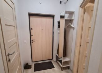 1-комнатная квартира в аренду, 36 м2, Мурино, Ручьёвский проспект, 9, ЖК Гринландия-2