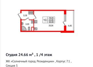 Продажа квартиры студии, 24.7 м2, Санкт-Петербург, проспект Ветеранов, 200, Красносельский район