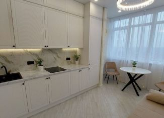 Продается однокомнатная квартира, 41 м2, Ростов-на-Дону, Доломановский переулок, 126, ЖК Центральный-3