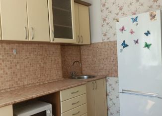 Аренда двухкомнатной квартиры, 43 м2, Новосибирская область, улица Красный Факел, 43