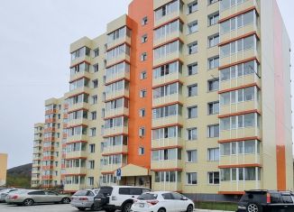 Однокомнатная квартира на продажу, 32.6 м2, Елизово, улица Гришечко