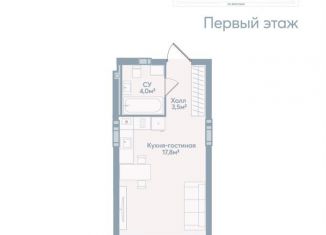 Продажа квартиры студии, 25.3 м2, Астраханская область, Моздокская улица, 40