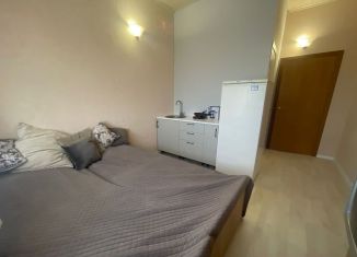 Продается квартира студия, 17 м2, Анапа, Новороссийская улица, 84