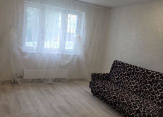 1-комнатная квартира в аренду, 41 м2, посёлок городского типа Васильево, улица Ленина, 23А