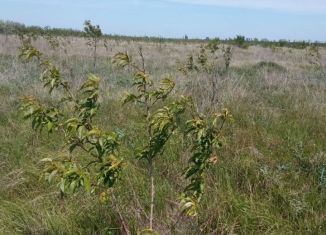 Продаю земельный участок, 120 сот., село Зыбины, улица Кирова