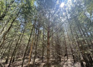 Продаю участок, 12.8 сот., деревня Орёл, Грибная улица, 74