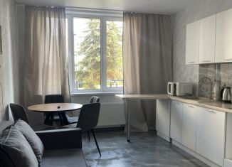 1-комнатная квартира в аренду, 50 м2, Казань, улица Аделя Кутуя, 100