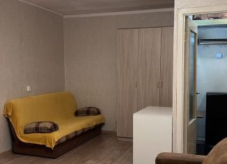 Сдам однокомнатную квартиру, 35 м2, Екатеринбург, Восточная улица, 88А, метро Площадь 1905 года