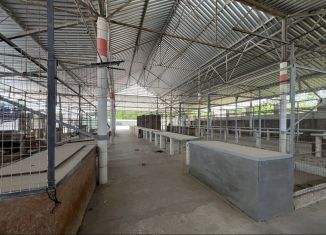 Торговая площадь на продажу, 20 м2, поселок городского типа Заозерное, улица Аллея Дружбы, 54А