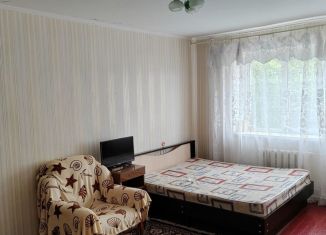 Сдаю 1-комнатную квартиру, 30 м2, Ставропольский край, Сельская улица, 34
