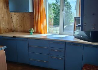 Продажа дома, 50.9 м2, село Пятницкое, село Пятницкое, 28