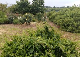 Продажа земельного участка, 20 сот., станица Чебургольская, Советская улица, 22