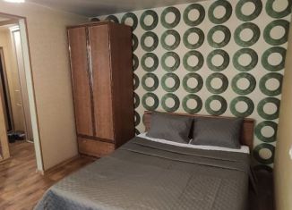 2-комнатная квартира в аренду, 47 м2, Томская область, Учебная улица, 47