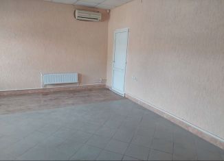 Сдаю в аренду помещение свободного назначения, 50 м2, село Загородный, Фестивальная улица, 1Д