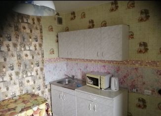 Аренда 1-комнатной квартиры, 38 м2, Новосибирск, Троллейная улица, 138