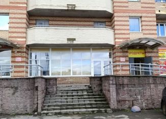 Продажа 2-комнатной квартиры, 60 м2, Санкт-Петербург, улица Шаврова, 13к1, муниципальный округ Юнтолово