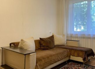 Сдается 2-комнатная квартира, 42.5 м2, Нижегородская область, проспект Ленина, 49к2