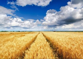 Продам земельный участок, 690 сот., деревня Видогощи