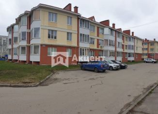 2-комнатная квартира на продажу, 47.1 м2, деревня Дерябиха, деревня Дерябиха, 50